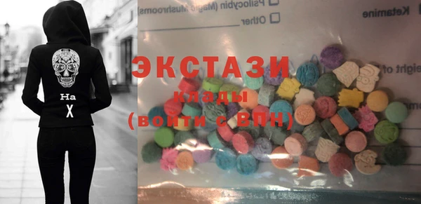 хмурый Верея