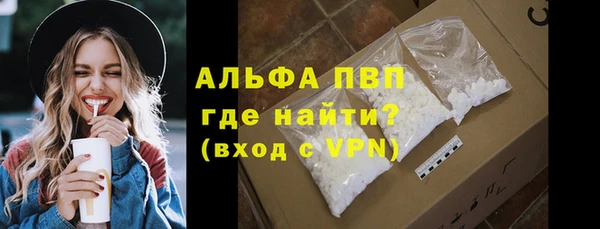 хмурый Верея