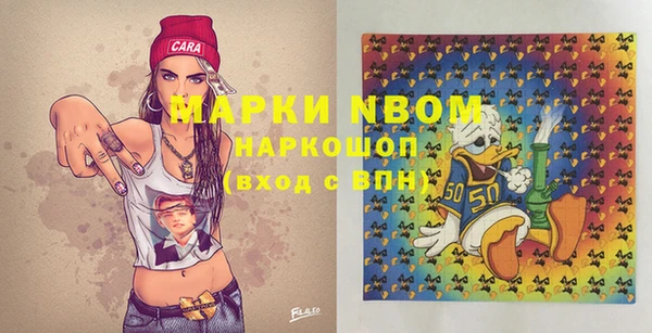 хмурый Верея