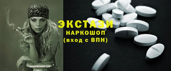 индика Верхний Тагил