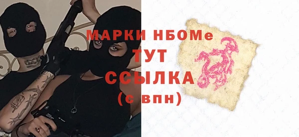 индика Верхний Тагил