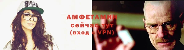 индика Верхний Тагил