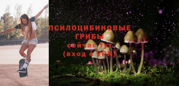 хмурый Верея