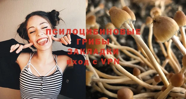 хмурый Верея