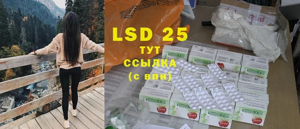 индика Верхний Тагил