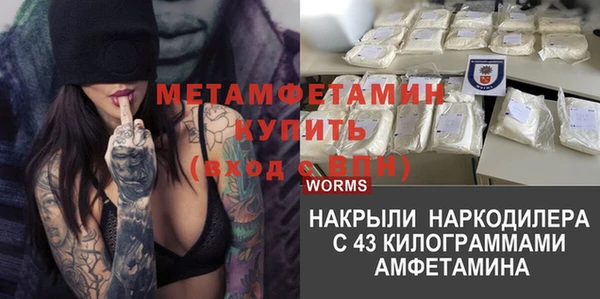 хмурый Верея