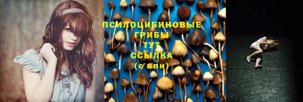 индика Верхний Тагил