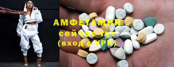 индика Верхний Тагил