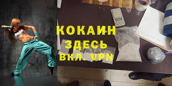 хмурый Верея