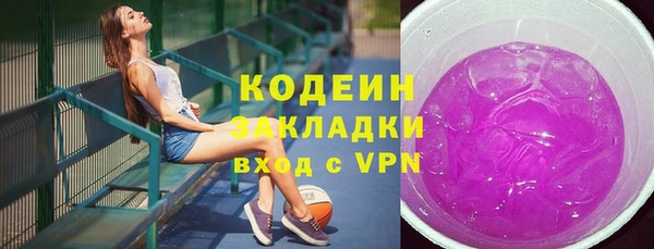 индика Верхний Тагил