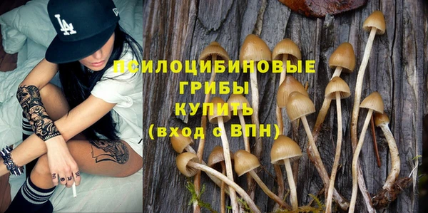 индика Верхний Тагил