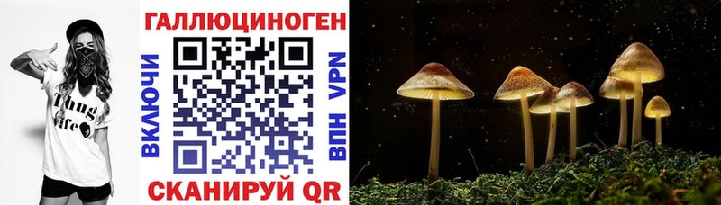 Псилоцибиновые грибы прущие грибы Саранск